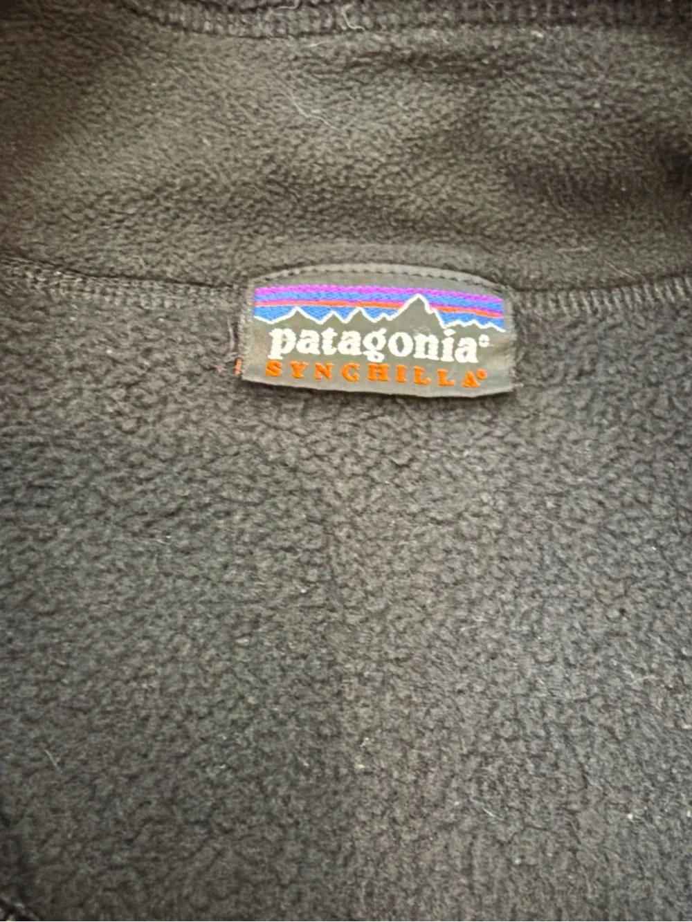 Patagonia Black Fleece Vest